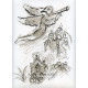 Moussorgsky: Boris Godounov (Anděl nad Ruskou monarchií) (Opéra de Paris)