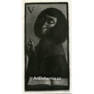 "V" (Villon I)