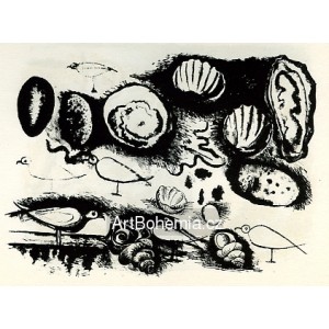 Coquillages et oiseaux (Shells and birds) (19.2.1946)