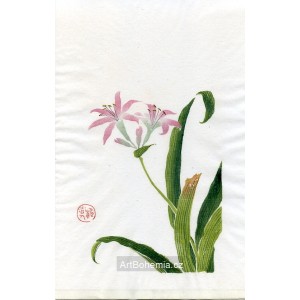 Čínská alstromeria - Dřevořez CCXIV