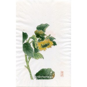 Slunečnice - Dřevořez CCXV
