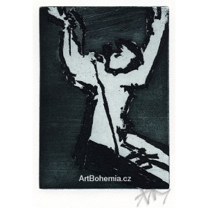 Zdvihl zrak... (K.H.Mácha: Máj)