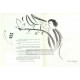 Dessin au fusain (Hommage à Georges Braque)