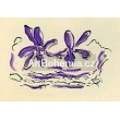 Deux fleurs violettes - Lettera amorosa (1963), opus 129