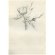 Le Garson au gilet rouge