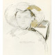 Madame Cézanne regardant en bas