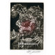Giuseppe Arcimboldo: Voda (hnědá varianta)