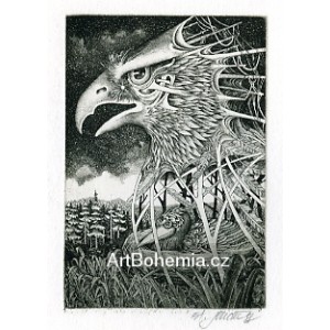 Kamufláž (zelená varianta)