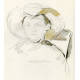 Tête de jeune femme