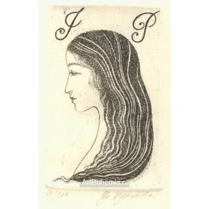 Profil s dlouhými vlasy