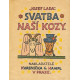 Svatební fotografie