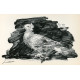 Le Hibou au fond blanc (Owl with white background) (20.1.1947)