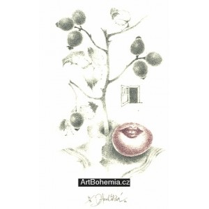 Šípky s mými ústy - PF 1981 Daniela Havlíčková