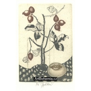 Šípky s dívčími ústy (zelená varianta)