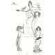 Ilustrace ke knižnímu vydání her Semaforu: Dobře placená procházka II