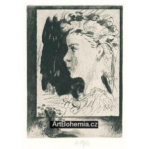 Zátiší s obrazem Karla Svolinského VII