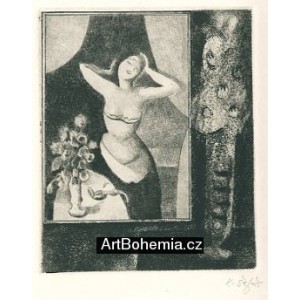 Zátiší s obrazem Rudolfa Kremličky