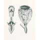 Nová anatomie II (1965) - Kolážové anekdoty XI