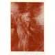 Faun
