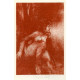Faun