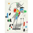 Maravillas con variaciones acrósticas en el Jardín de Miró, opus 1070
