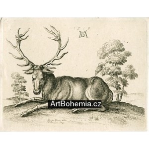 Ležící jelen (podle Albrechta Dürera 1518)