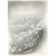 Motýli (K.H.Mácha: Máj)