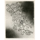 Der Hafen von Plit (The Harbor of Plit) (1927)