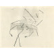 Alte Dame (1926)