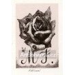 Růže s kapkami rosy, opus 1228