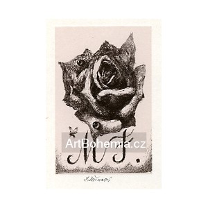 Růže s kapkami rosy, opus 1228