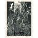 Olomoucká ilustrátorka Anna Grmelová - komplet 4 grafik