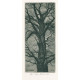 Vysoký starý strom - EXL Petr Minka