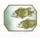 Býk (Zodiac)