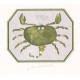 Býk (Zodiac)