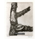 Raněný strom s lasturou I (hnědá varianta), opus 1040