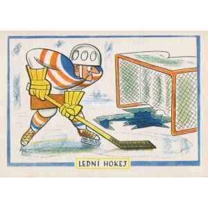 Lední hokej