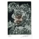 Giuseppe Arcimboldo: Voda (hnědá varianta)