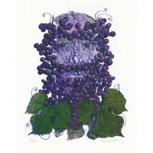 Vinná réva (Víno)