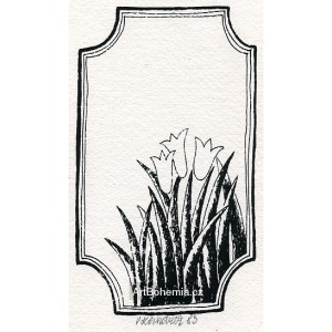 Tři tulipány