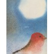 Červený ptáček a slunce