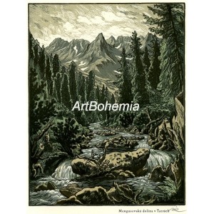 Mengusovská dolina v Tatrách (Slovensko)