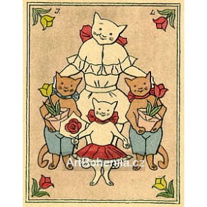 Kočiččiny narozeniny - Všechno nejlepší