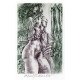 David IV (Bible)