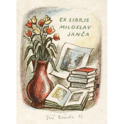 Zátiší s tulipány a knihami