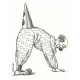Klauni VII