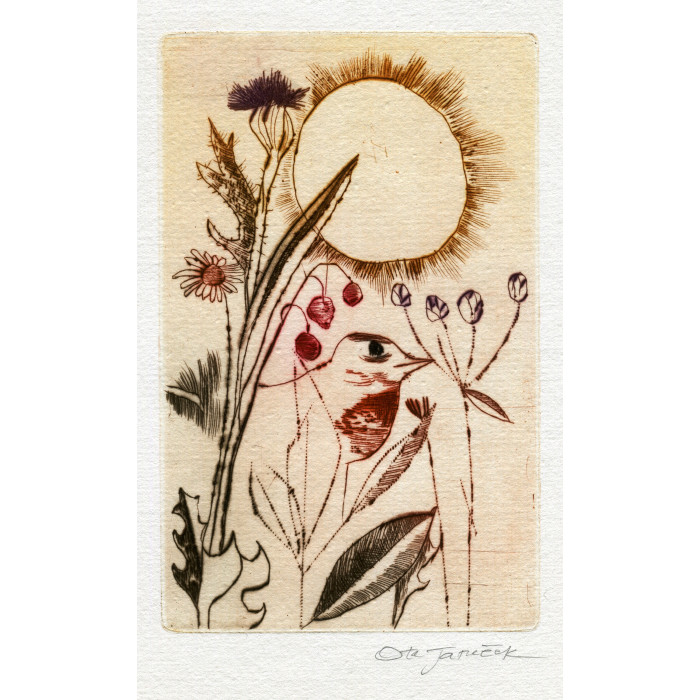 Trávy, opus 790