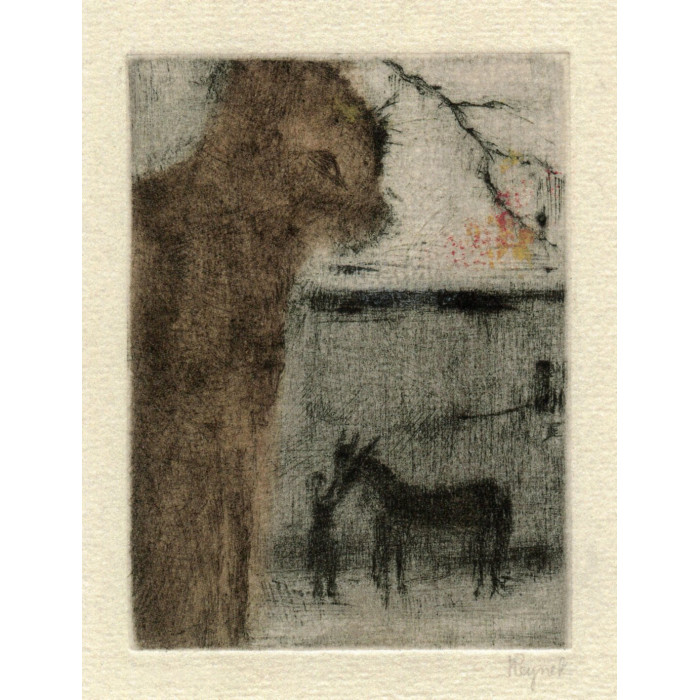 Kotě (1948)