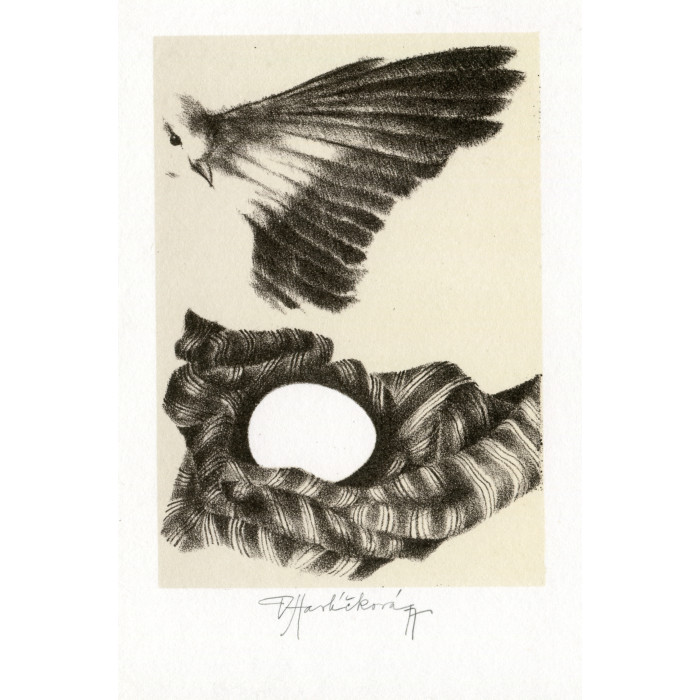 Hnízdečko II (O lásce)