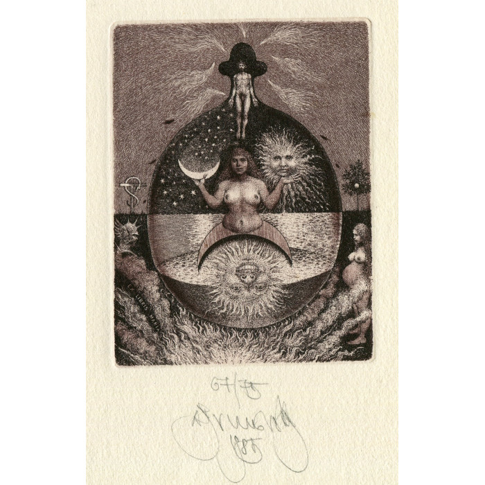 Coniunctio oppositorum, opus 533
